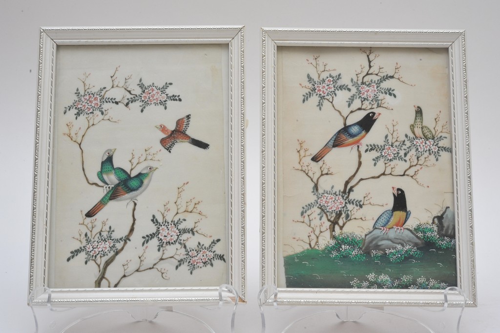 A pair of framed colourful watercolour on rice paper studies of birds within a naturalistic setting
