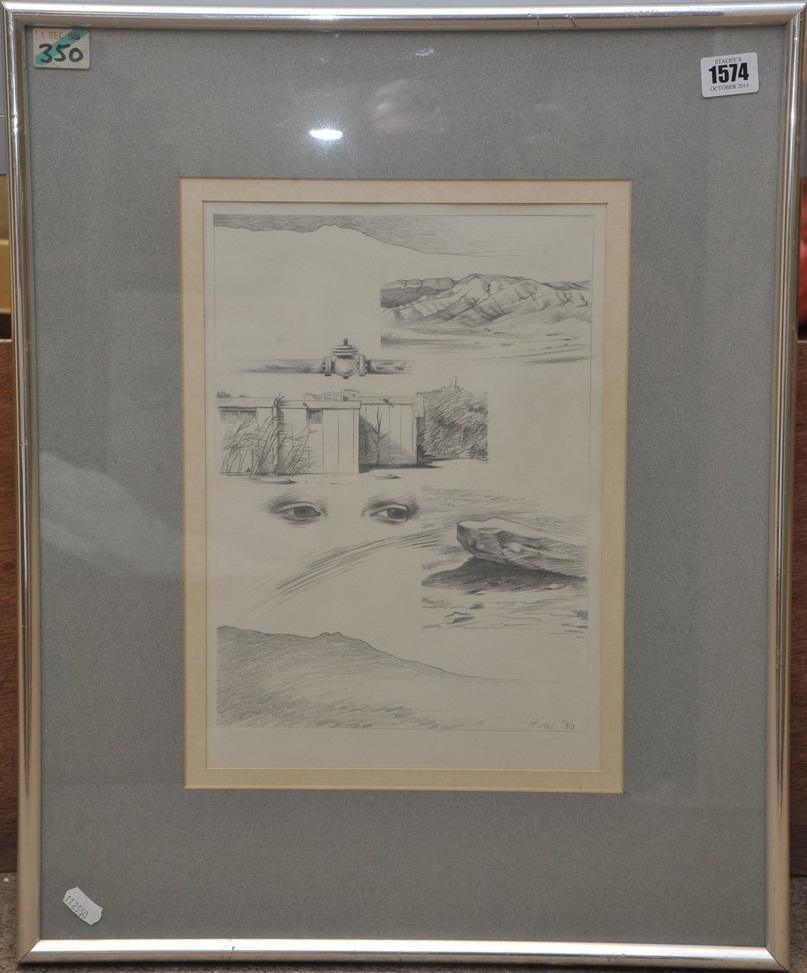 An original framed Phillip Hicks pencil drawing entitled 'Study for the Living Wilderness' , - Image 2 of 2