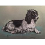 Marjorie Cox (1915-2003), signed and dated 1966, “Puffin”, portrait of a spaniel dog, pastels,