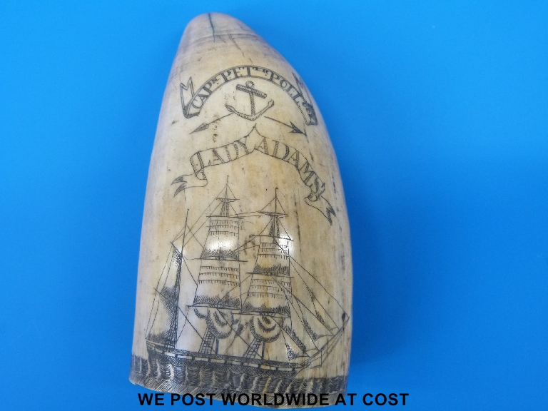 A very fine 19thC whale's tooth scrimshaw decorated with a sailing ship and engraved 'Capt Peter