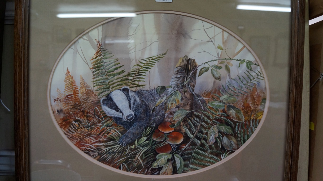 David Barber, 'Badger', signed and dated '90, watercolour and bodycolour, 30.5 x 41cm oval.