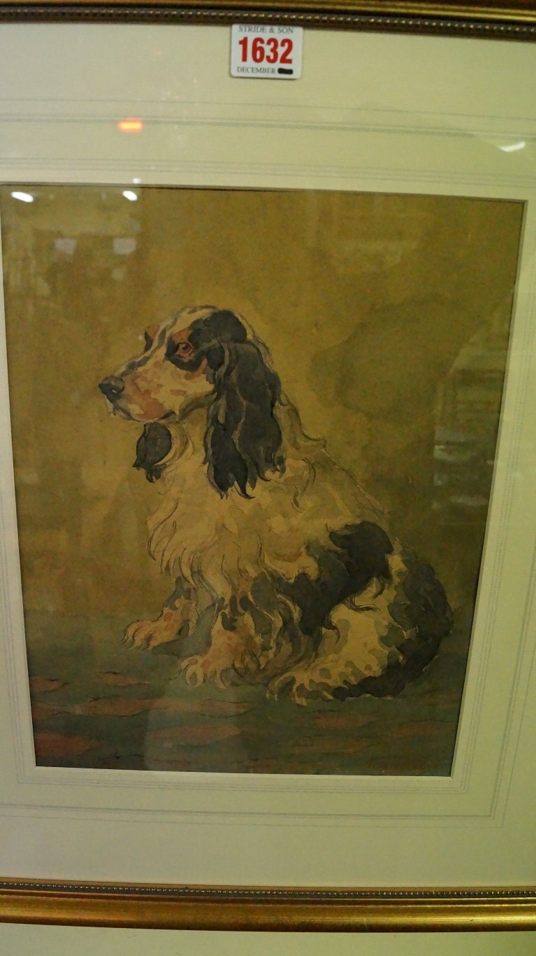 G Sparrow, a cocker spaniel, signed, wat