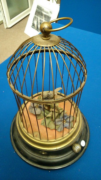 Singing Bird in Cage