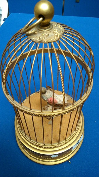 Singing Bird in Cage