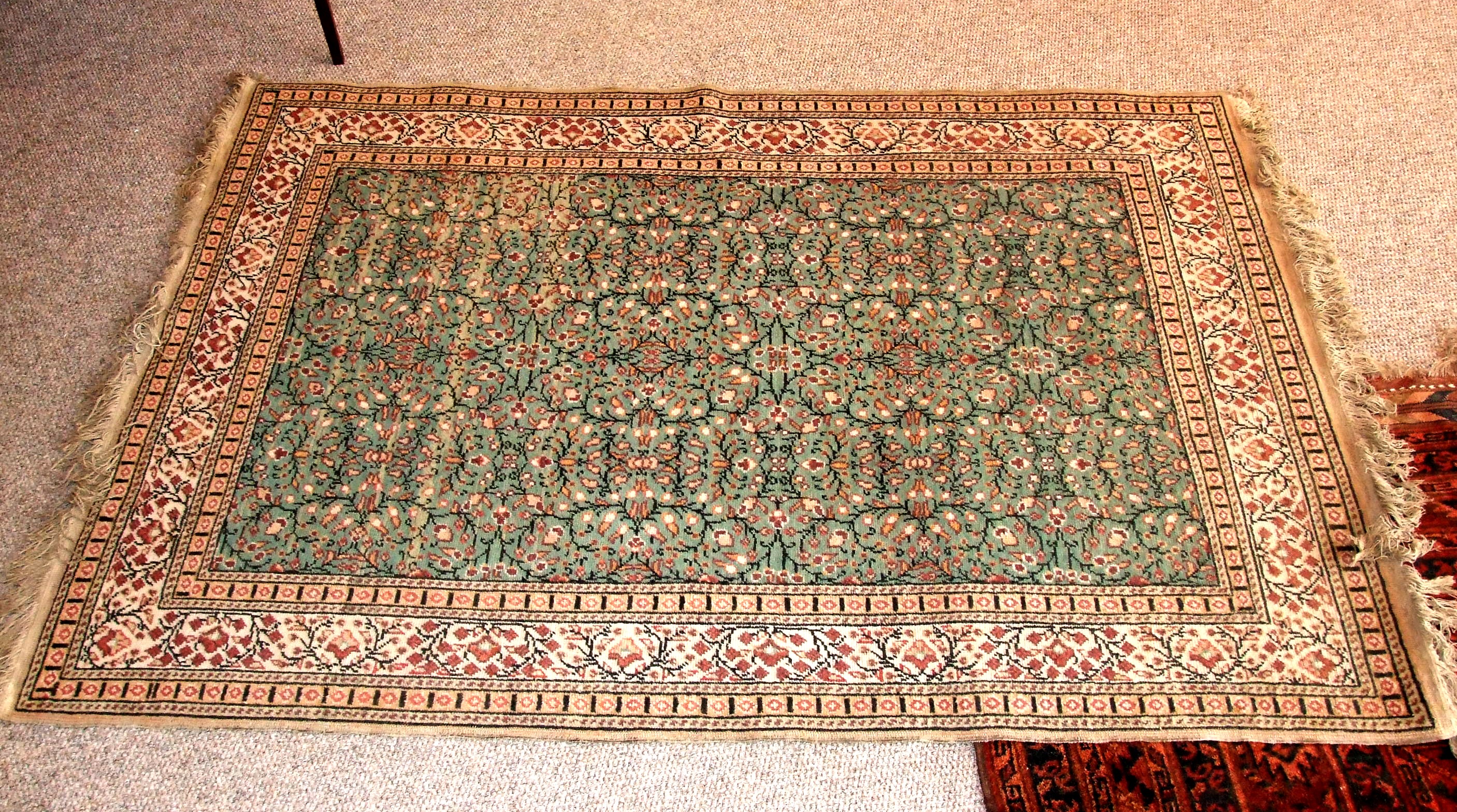 Turkish Patterned Rug (48? x 72?)