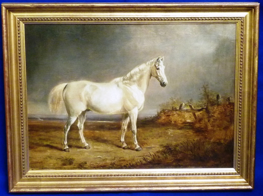 McLeod (British, 19th Century), an Equine Portrait of a white Horse, signed lower right indistinctly