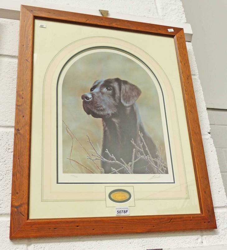 JOHN SILVER CLASSIC BREEDS, LABRADOR SIGNED FRAMED LIMITED EDITION PRINT NO 200 OF 750 38 X 29CM