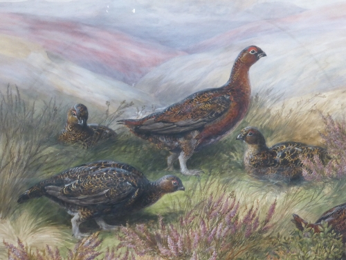 George Anderson Short (1856-1945) ``Birds of the Moorland`` - Grouse in heather Signed, bears - Image 3 of 7