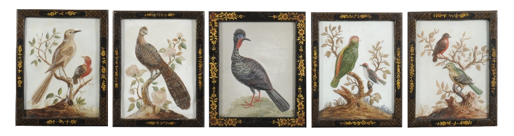 Samuel Dixon (c.1755) II, ``The Peacock Pheasant`` III, ``Green and Red Indian Paroquet`` IV, ``