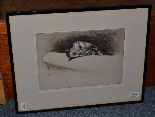 Cecil Aldin (1870-1935) A rough coated dog resting on an armchair, signed in pencil and numbered