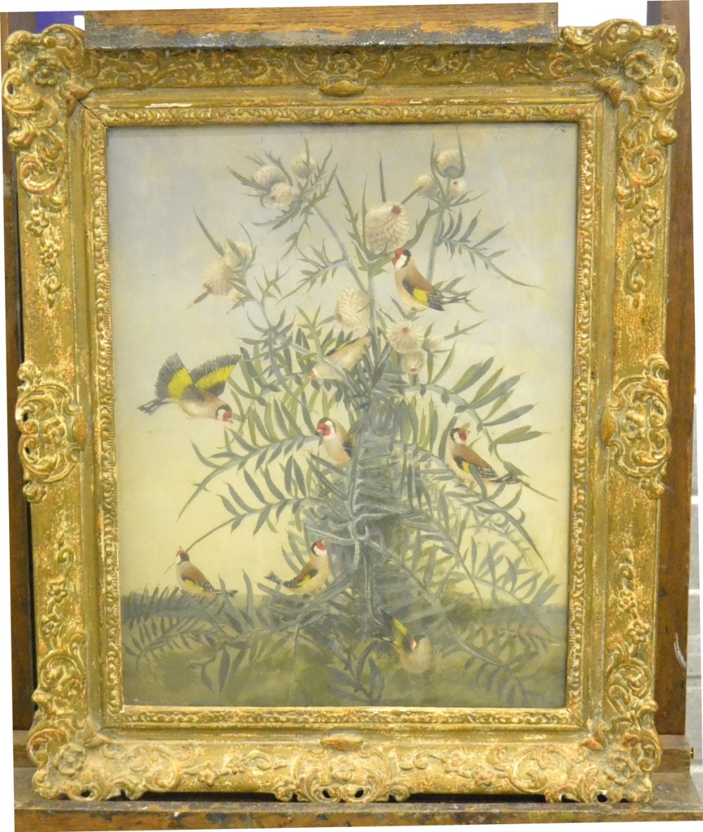 Jacqueline Pietersen (20th century)
Goldfinches around a cotton bud plant
Signed, oil on canvas 44.