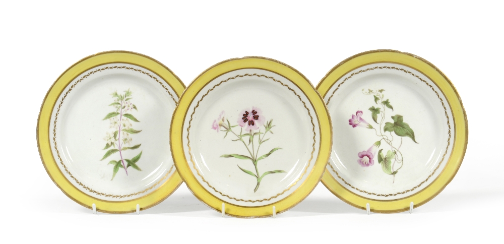 A Set of Six English Porcelain Botanical Plates, circa 1800, painted with named specimens within - Image 2 of 2