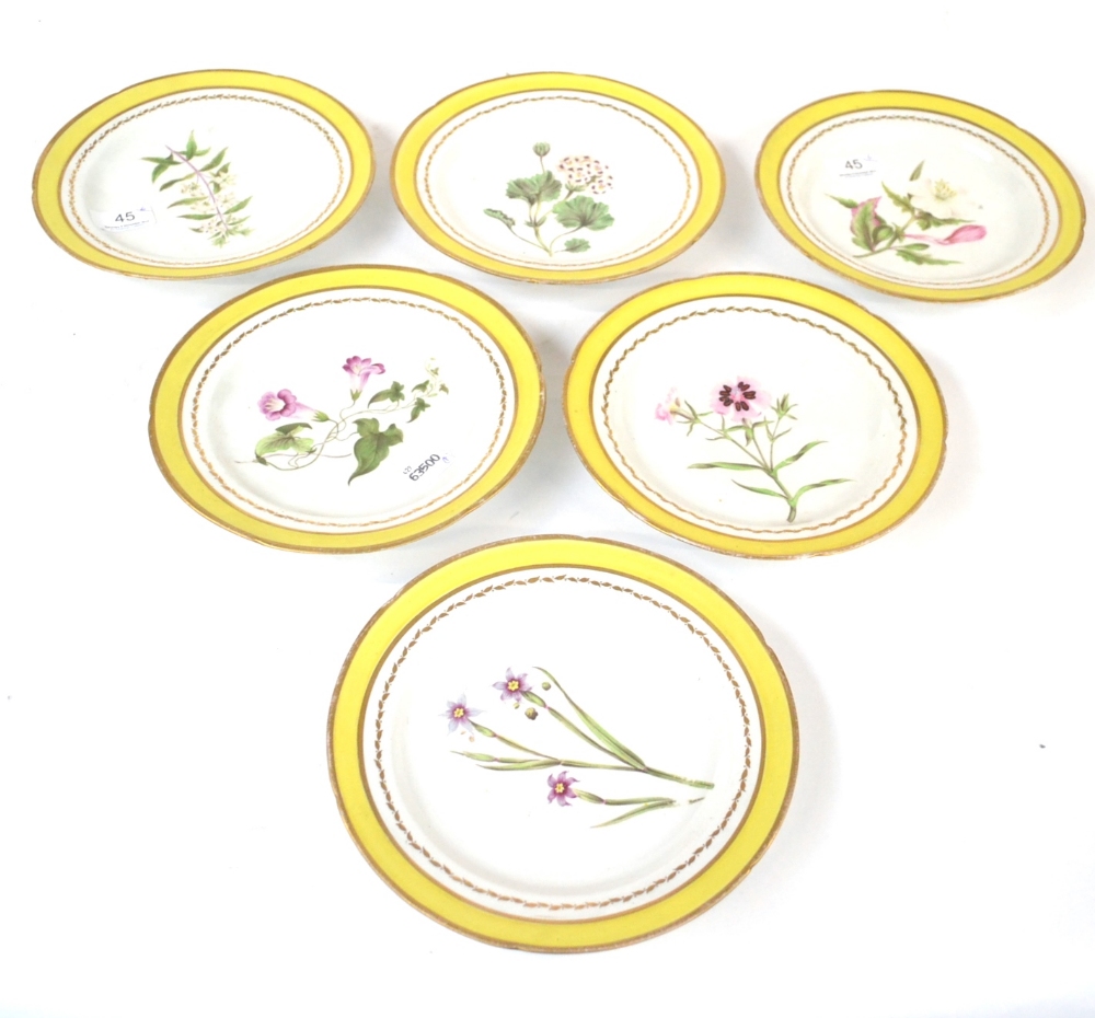 A Set of Six English Porcelain Botanical Plates, circa 1800, painted with named specimens within