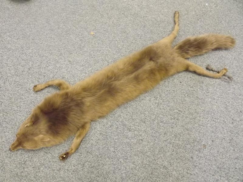 A fox fur stole