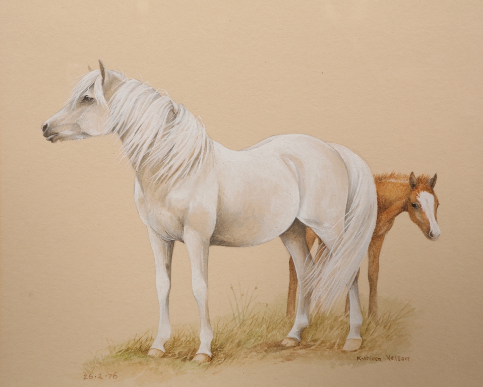 Kathleen Nelson, Horse and foal, signed lower right, dated 26.2.76 lower left, watercolour,