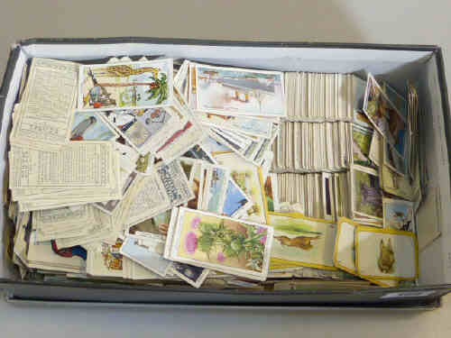 Shoe box of cigarette cards