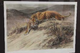 Sir Herbert Dicksee : Stealth (Leopard), etching, with hand colouring, with margins, 50 cm x 70