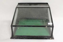 An early twentieth century glazed table display case, width 39 cm. CONDITION REPORT: Good time