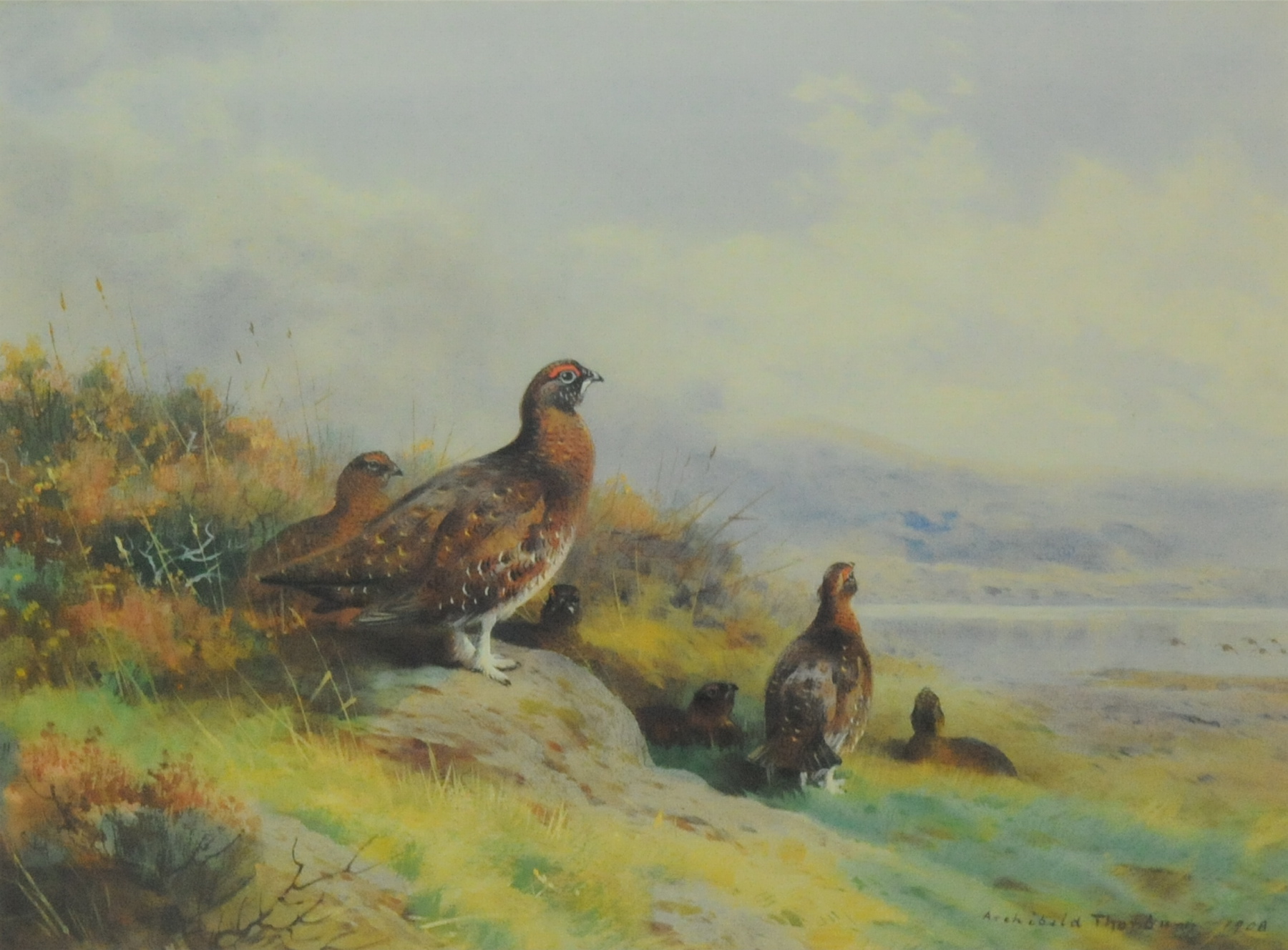 "Red grouse above Loch Maree", 1995, colour print by the Sherwood Press, after an original by