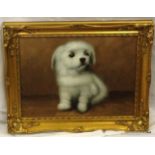 An Oil on canvas of a puppy signed in gilt frame 49 x 59