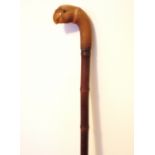 An Edwardian walking stick / can with parrot handle