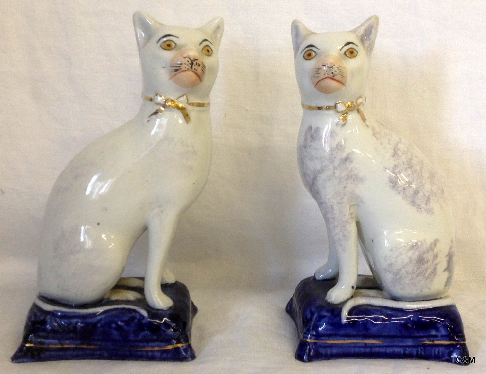 Pair of Staffordshire pottery cats on blue base