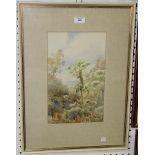 A. Murray - Cow Parsley in a Landscape, watercolour, signed, approx 34.5cm x 21.5cm, together with