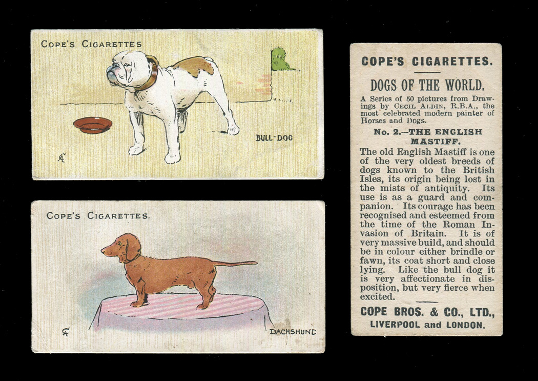 A part-set of 41 (of 50) Cope Bros `Dogs of the World (English)` cigarette cards, circa 1912.