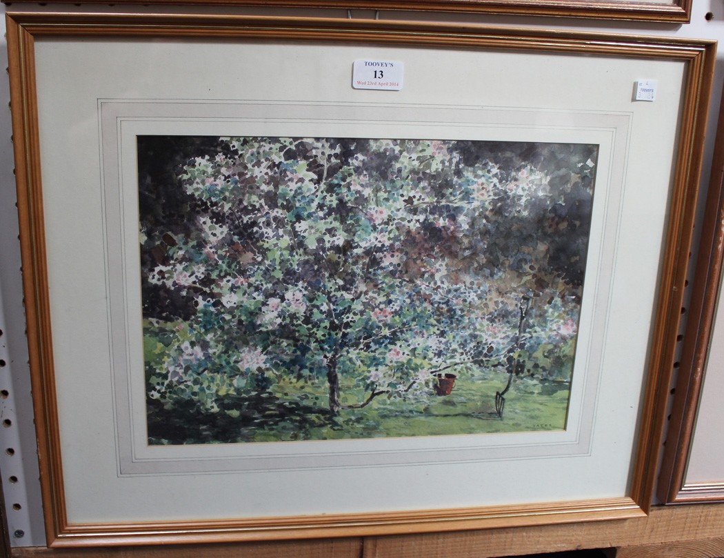 Jeremy Yates - Study of a Blossom Tree, watercolour, signed, approx 25cm x 36cm.