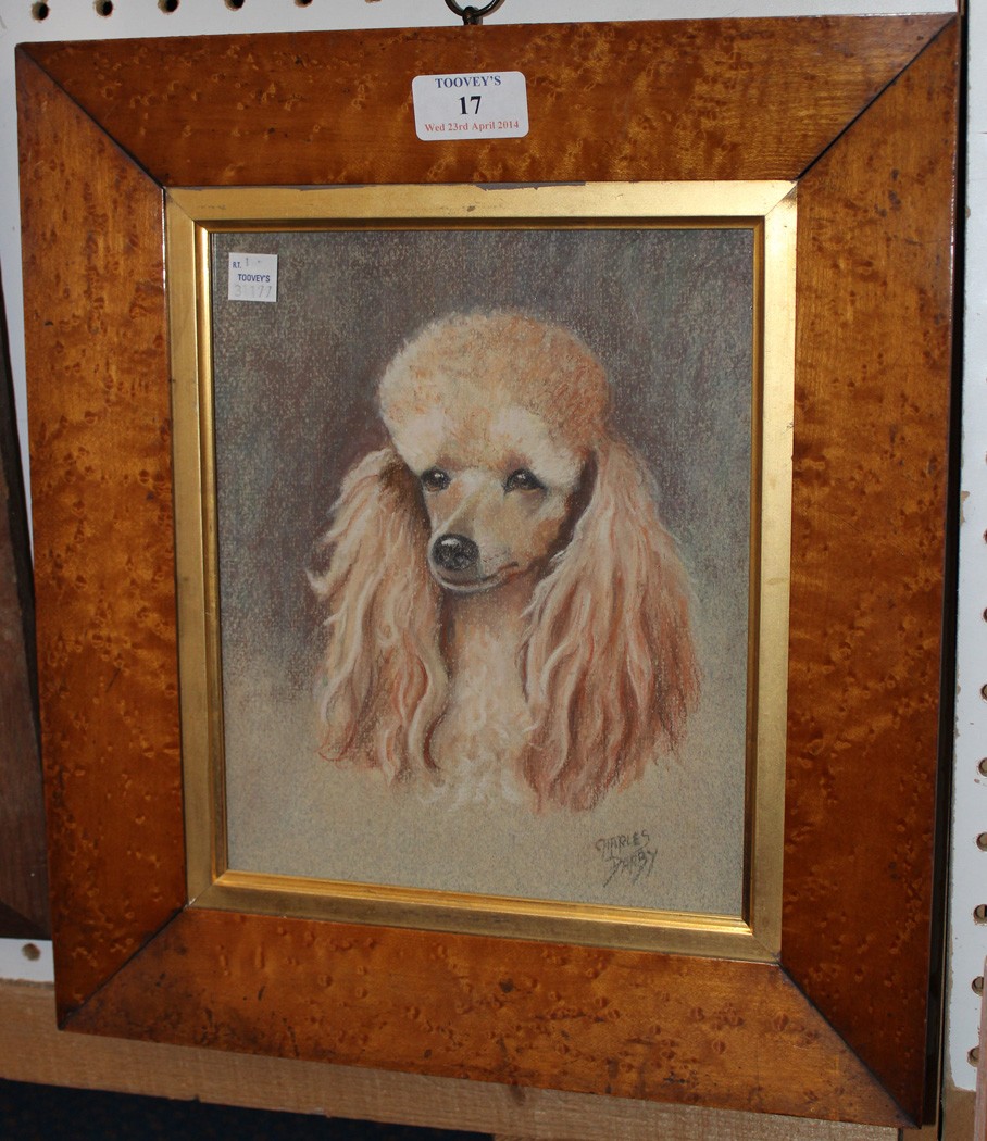 Charles Darby - Study of a Poodle`s Head, pastel, signed, approx 23cm x 19cm, within a bird`s eye