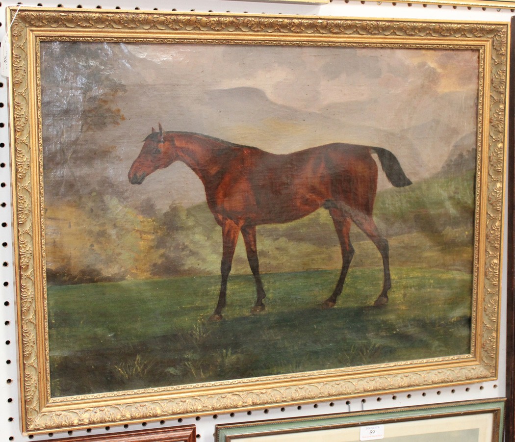 19th Century British School - Study of a Stallion in a Landscape, oil on canvas, bears inscription