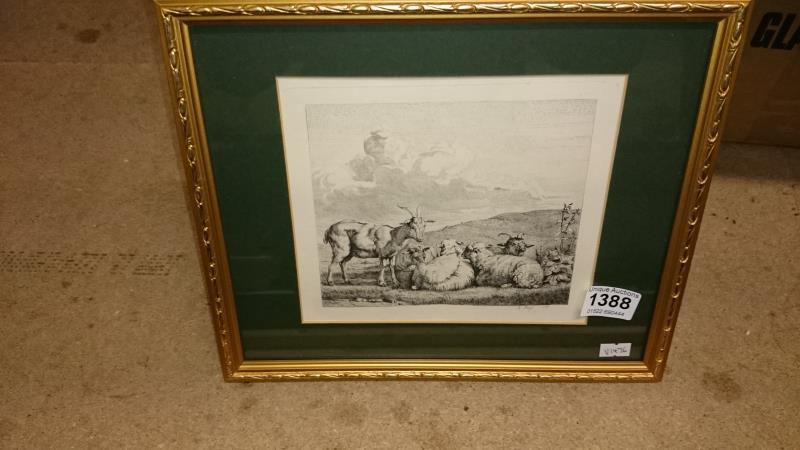 A framed and glazed etching 'sheep & goats', A Mongin 1843-1911