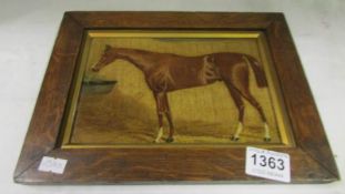 An oak framed oil on board study of a horse