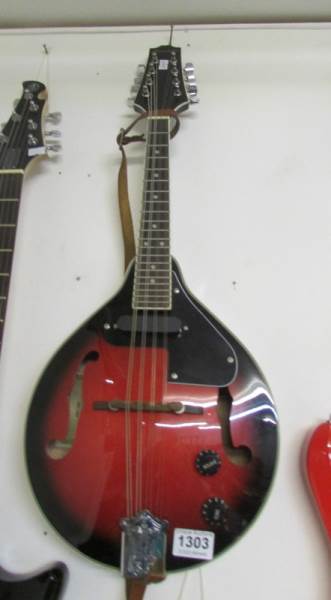 A new 'Pasadena' mandolin, electric acoustic, (no case)