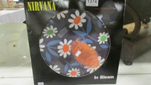 2 picture discs being ' Manic Street Preachers' and 'Nirvana In Bloom'