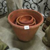 A quantity of terracotta plant pots