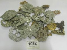 A collection of cap badges