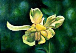 Columbine 9 ½" x 7" Alkyd oil on board Signed and dated 2005 by Joseph Smedley