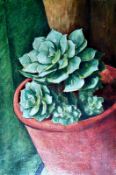 Zygo Cactus Oil on canvas 15" x 10" Signed on reverse but not dated by Joseph Smedley