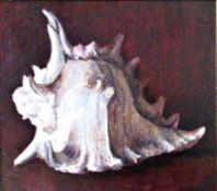 Sea Shell Framed Oil on board 10" x 9" Signed and dated 1953 by Joseph Smedley