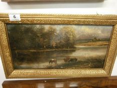 19thC oil on board of cattle in stream, signed D Hapo?