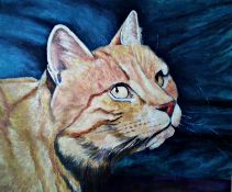 Head of a Ginger Cat Framed & glazed, oil on paper 15 ¼" x 13 ¾" Signed but not dated by Joseph