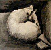 Sleeping Cat Pen and Grey Wash 7 ½" x 7 ¼" Signed but not dated by Joseph Smedley