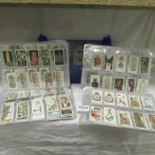 Approximately 2000 cigarette cards