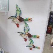 A set of 3 graduated hand painted duck wall plaques