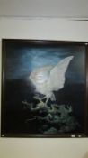 A large oil on board study of an owl signed William Henry King 1992