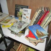 A mixed lot of cat books including 'Just Cats' by Luano and Beachcroft, (one shelf)