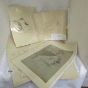 A collection of life drawings, 1 signed Franklin White, others unsigned