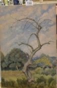 An oil on canvas 'Tree' by Marjorie Hoare, dated 1953, 45 x 30.5cm