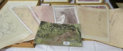 A quantity of nude paintings and drawings unsigned but attributed to Franklin White